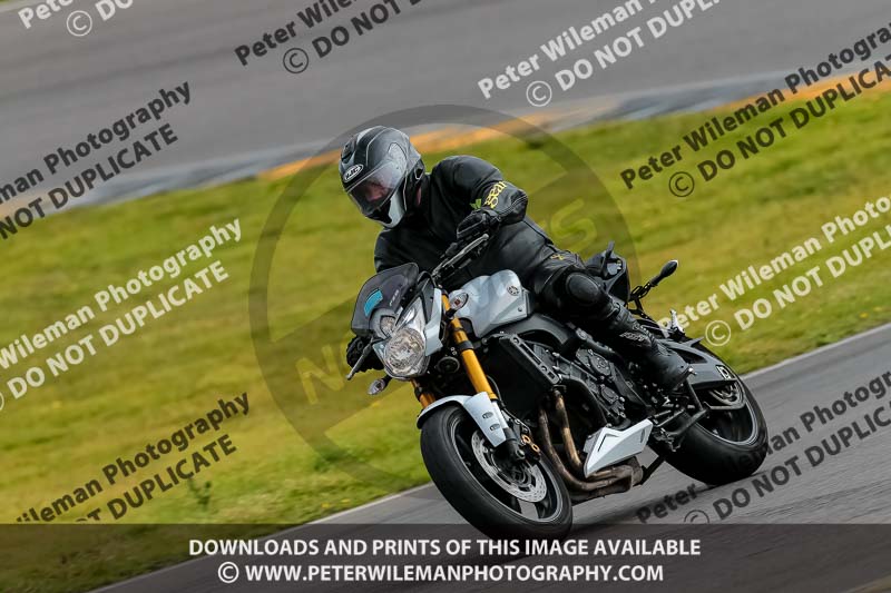 PJ Motorsport 2019;anglesey no limits trackday;anglesey photographs;anglesey trackday photographs;enduro digital images;event digital images;eventdigitalimages;no limits trackdays;peter wileman photography;racing digital images;trac mon;trackday digital images;trackday photos;ty croes